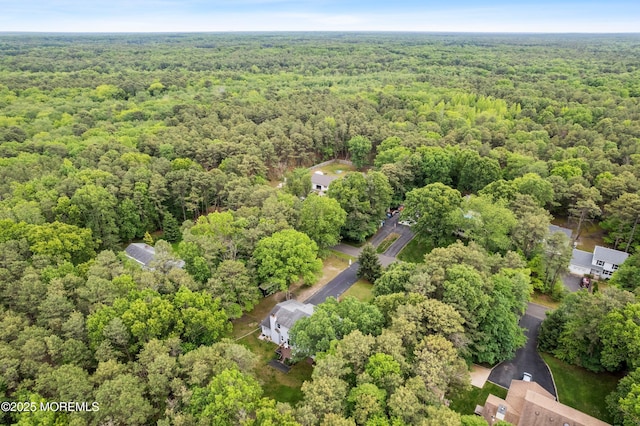 112 Richter Rd, Jackson, NJ 08527 - photo 44
