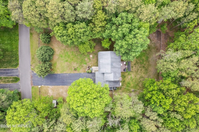 112 Richter Rd, Jackson, NJ 08527 - photo 5
