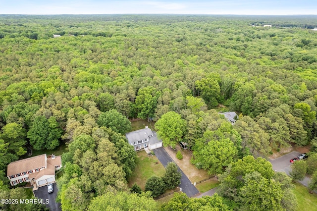 112 Richter Rd, Jackson, NJ 08527 - photo 41