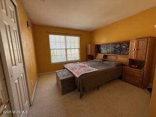 284 Brookfield Dr, Jackson, NJ 08527 - bedroom with light carpet