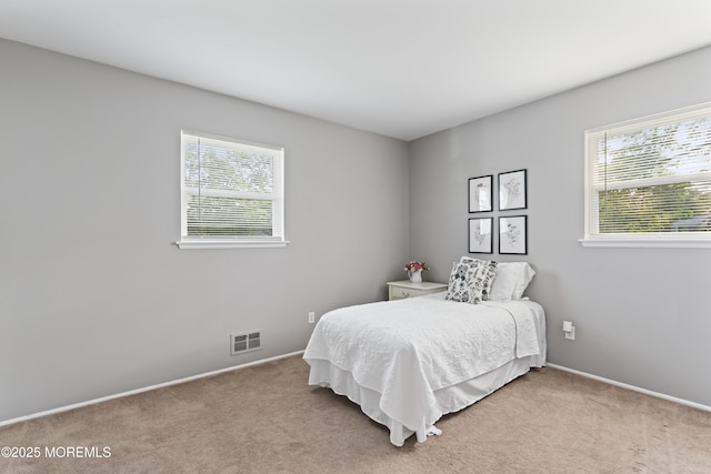 11 Bryant Dr, Jackson, NJ 08527 - bedroom featuring multiple windows and light carpet