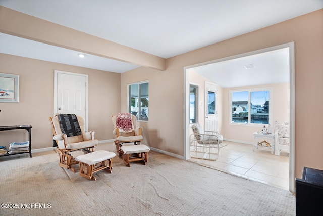 13 Lake Superior Dr, Little Egg Harbor, NJ 08087 - sitting room with baseboards, carpet floors, and tile patterned flooring