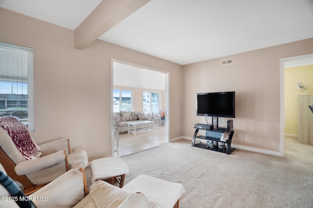 13 Lake Superior Dr, Little Egg Harbor, NJ 08087 - carpeted living area with baseboards and beamed ceiling