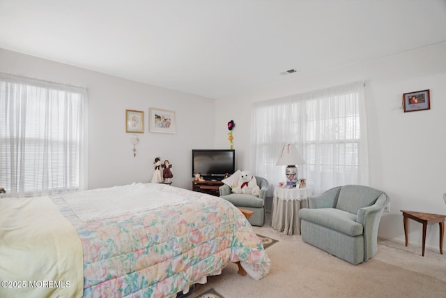 218 Mohican Ln, Little Egg Harbor, NJ 08087 - bedroom with multiple windows and carpet floors
