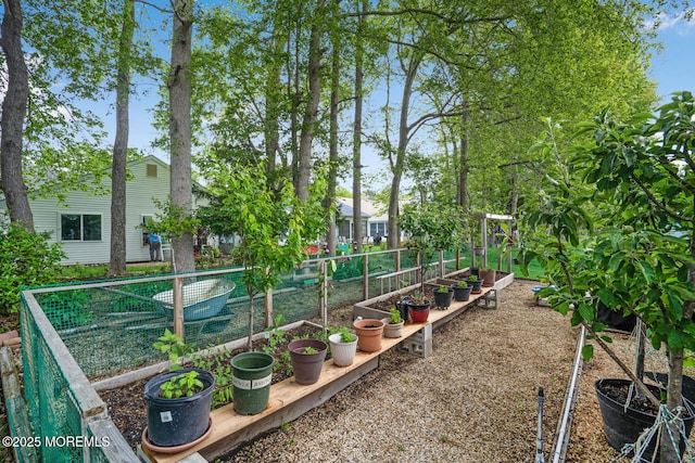 218 Mohican Ln, Little Egg Harbor, NJ 08087 - view of yard with a garden