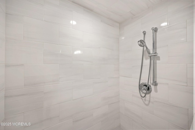 41 Revere Pl, Freehold, NJ 07728 - bathroom view of a tile shower