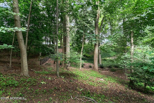 44 Tall Tree Rd, Middletown, NJ 07748 - photo 41