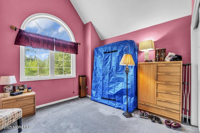 9 Rachel Ct, Jackson, NJ 08527 - bedroom featuring lofted ceiling, carpet, and baseboards
