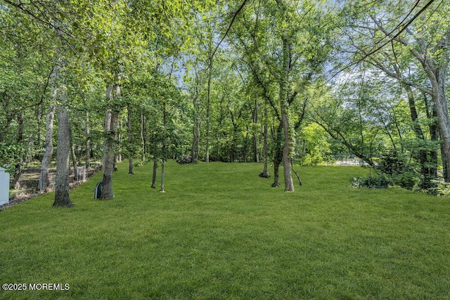 9 Rachel Ct, Jackson, NJ 08527 - view of green lawn