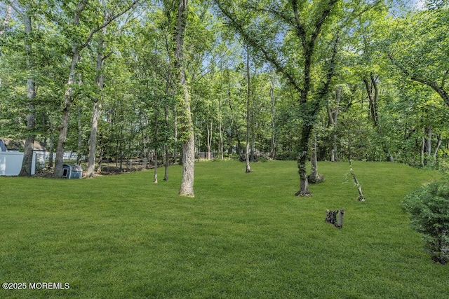 9 Rachel Ct, Jackson, NJ 08527 - view of yard