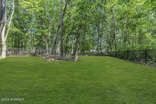 9 Rachel Ct, Jackson, NJ 08527 - view of yard