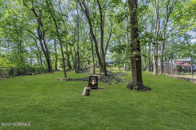9 Rachel Ct, Jackson, NJ 08527 - view of yard