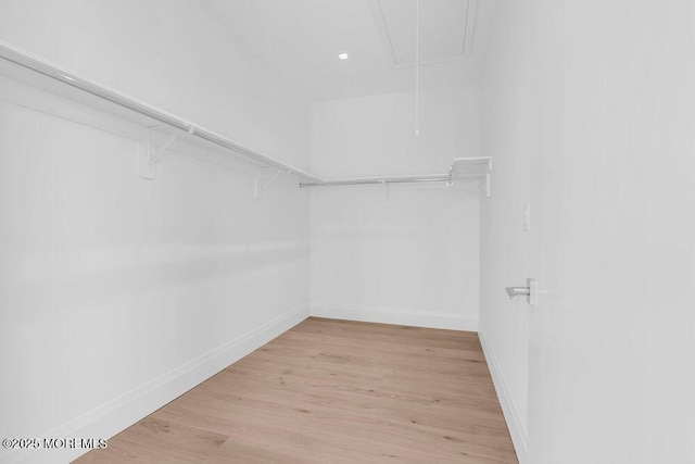 2 Brant Dr Lot 5.01, Atlantic Highlands, NJ 07716 - spacious closet featuring attic access and light wood-type flooring