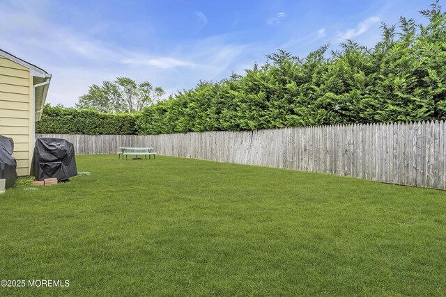 18 Delaware Ave, West Long Branch, NJ 07764 - view of fenced backyard