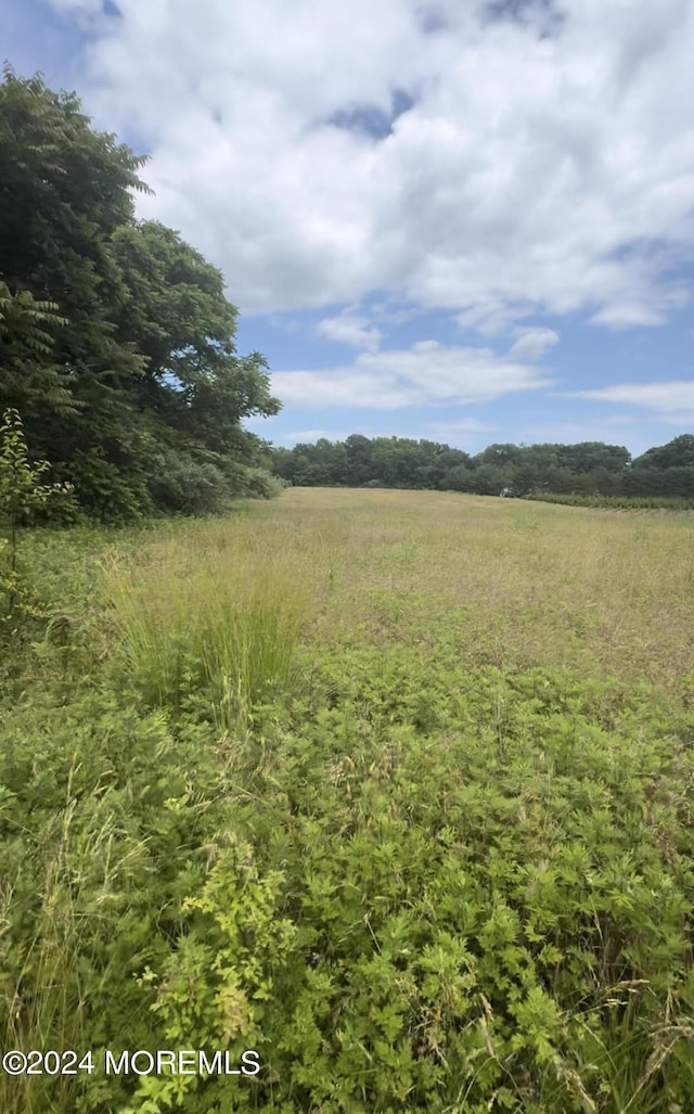 371 Colts Neck Rd, Farmingdale, NJ 07727 - view of nature
