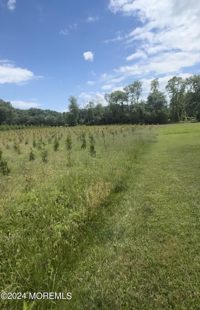 371 Colts Neck Rd, Farmingdale, NJ 07727 - view of undeveloped land featuring rural landscape