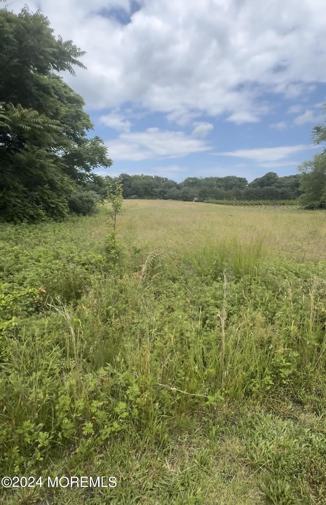 371 Colts Neck Rd, Farmingdale, NJ 07727 - view of nature with rural landscape