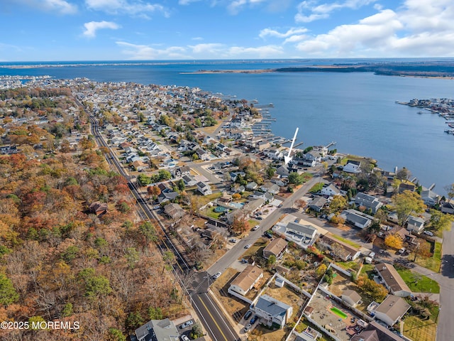 13 Cedar Tree Ln, Toms River, NJ 08753 - aerial view of property's location featuring a nearby body of water and nearby suburban area