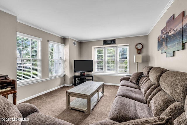 9 Asheville St, Toms River, NJ 08753 - photo 5