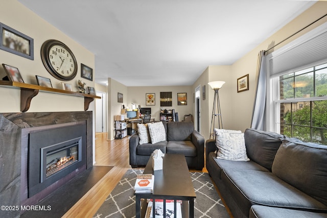 516 Wellington Pl, Aberdeen, NJ 07747 - living room featuring wood finished floors and a glass covered fireplace