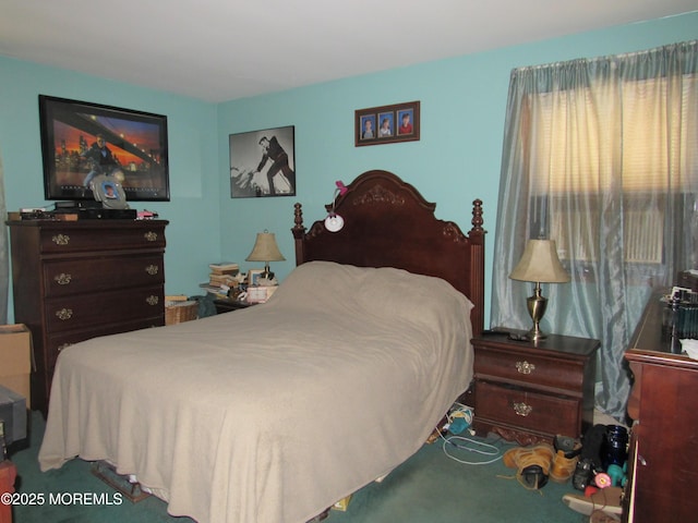 138 N Cooks Bridge Rd, Jackson, NJ 08527 - view of carpeted bedroom