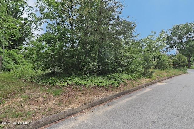 1600 Lawrence Ave, Toms River, NJ 08757 - view of asphalt road with curbs