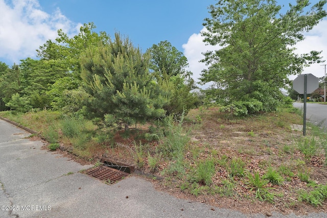 1600 Lawrence Ave, Toms River, NJ 08757 - view of yard
