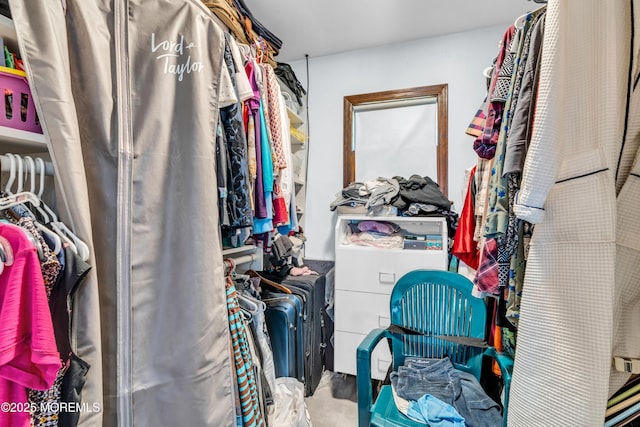 330 Green Grove Rd, Ocean Twp, NJ 07712 - view of spacious closet