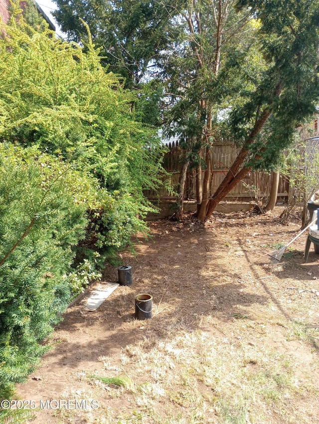 1020 Raritan Ave, Highland Park, NJ 08904 - view of yard