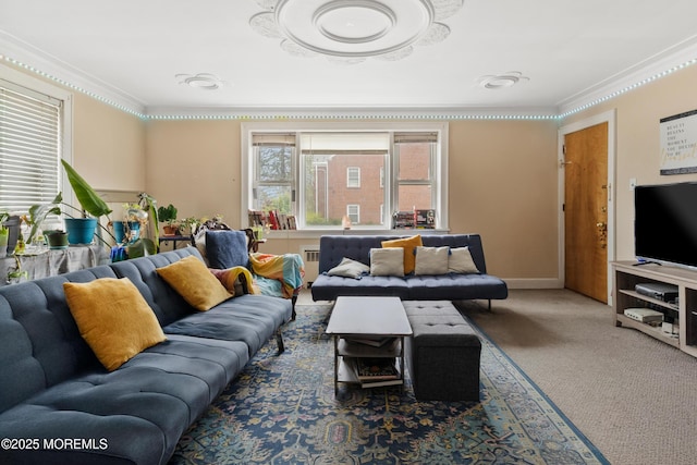 1020 Raritan Ave, Highland Park, NJ 08904 - living room with ornamental molding and carpet