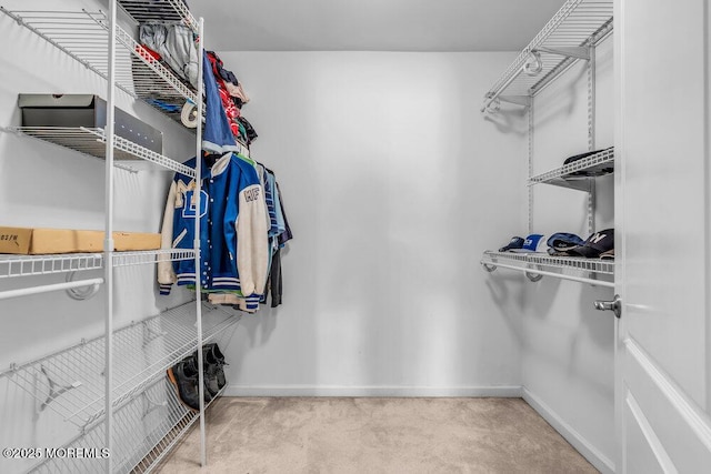 85 Main Bayway, Toms River, NJ 08753 - spacious closet with carpet floors