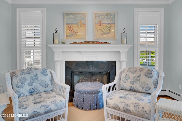 842 E Ave, Bay Head, NJ 08742 - sitting room with a fireplace, wood finished floors, and ornamental molding