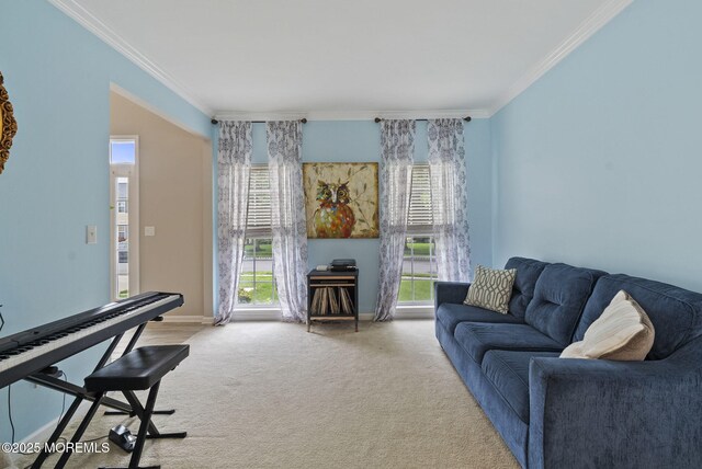 10 Butternut Ln, Bayville, NJ 08721 - living room featuring crown molding, carpet floors, and baseboards