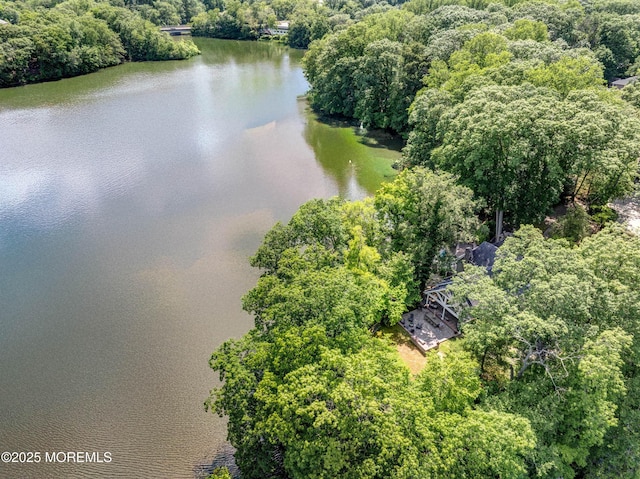 1 Beechwood Ter, Matawan, NJ 07747 - drone / aerial view of a nearby body of water and a forest