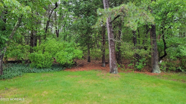 2277 Hovsons Blvd, Toms River, NJ 08753 - photo 12