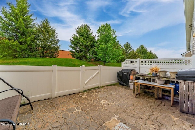 2420 Canterbury Ln, North Brunswick, NJ 08902 - view of patio / terrace with a gate and grilling area