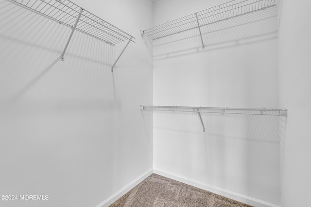 750 Lighthouse Dr Unit 1112, Barnegat, NJ 08005 - spacious closet featuring carpet flooring