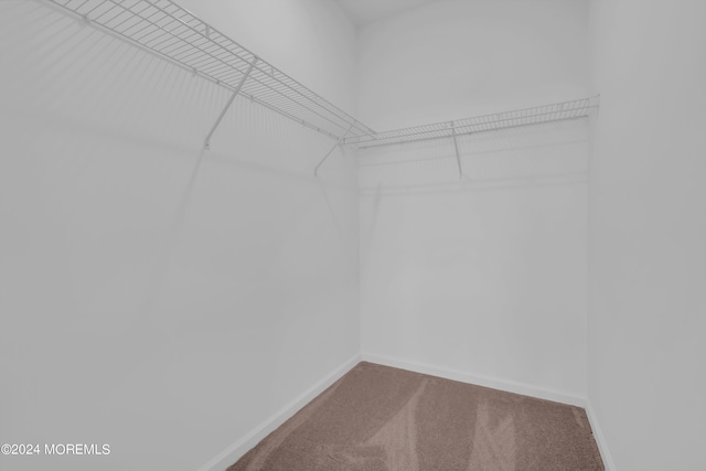 750 Lighthouse Dr Unit 3301, Barnegat, NJ 08005 - spacious closet featuring carpet