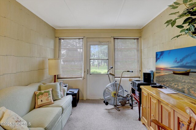 266 Westbrook Dr, Toms River, NJ 08757 - photo 29