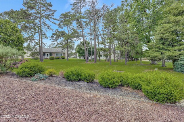 266 Westbrook Dr, Toms River, NJ 08757 - photo 33