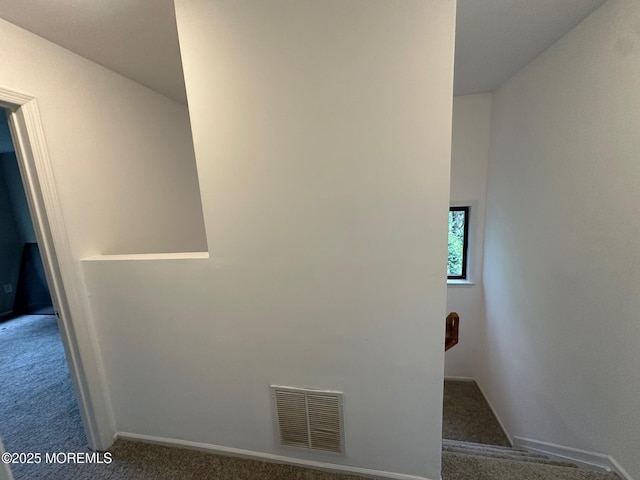 1508 Alpine Trl Unit 1508, Neptune Township, NJ 07753 - detailed view of carpet floors and baseboards