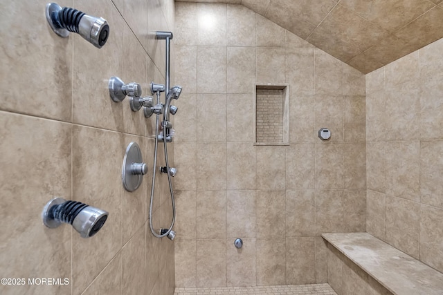 2117 Seagull Ter, Point Pleasant, NJ 08742 - bathroom with a tile shower