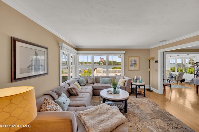 103 River Ave, Point Pleasant, NJ 08742 - photo 52