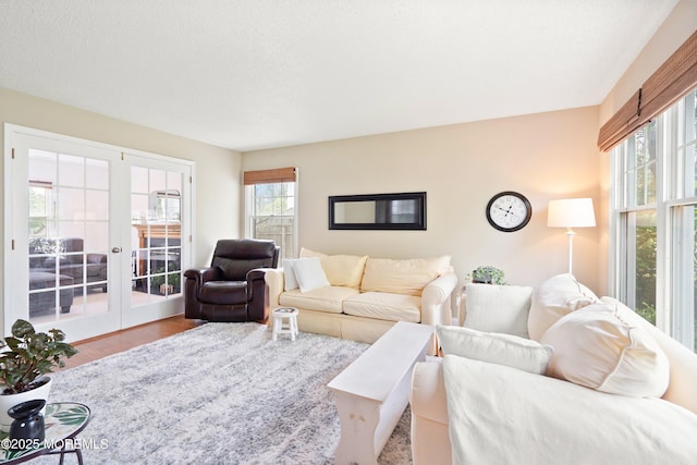 15 Tanglewood Dr, Barnegat, NJ 08005 - living area featuring french doors, plenty of natural light, and wood finished floors