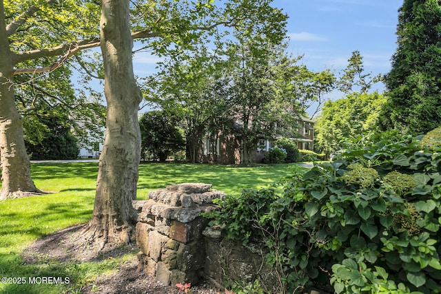 72 Silverside Ave, Little Silver, NJ 07739 - photo 37