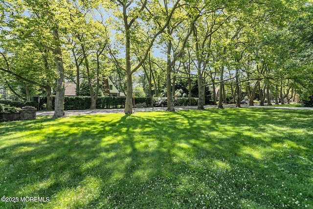 72 Silverside Ave, Little Silver, NJ 07739 - photo 43