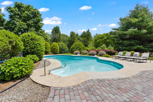 1 Yeger Dr, Upper Freehold, NJ 08501 - outdoor pool with a patio and view of scattered trees