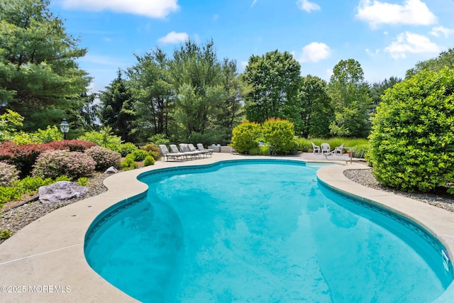 1 Yeger Dr, Upper Freehold, NJ 08501 - swimming pool featuring a patio and view of wooded area