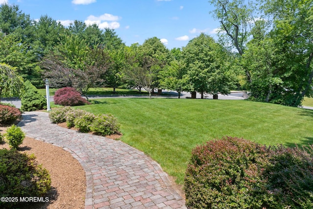 1 Yeger Dr, Upper Freehold, NJ 08501 - view of green lawn