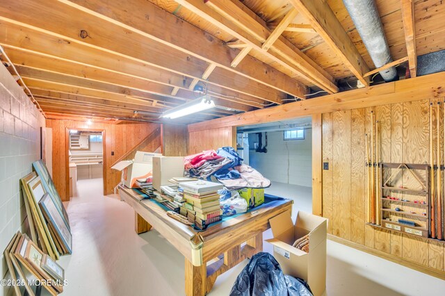 2146 Spruce Dr, Sea Girt, NJ 08750 - below grade area with wooden walls